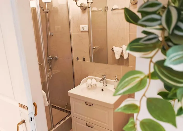 Loft Bed With Free Parking, 2 Bikes! Self Check In, Wi-fi, Ac * Пула