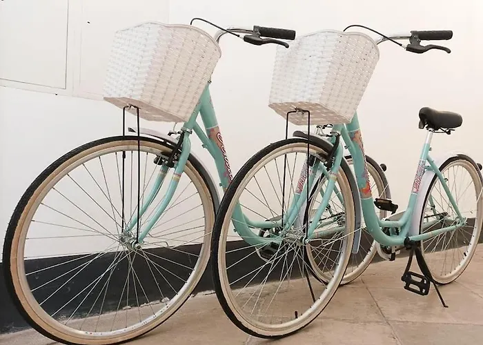 Loft Bed With Free Parking, 2 Bikes! Self Check In, Wi-fi, Ac Lejlighed Pula